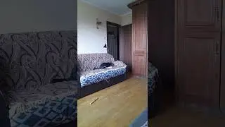 25 июля 2024 г.