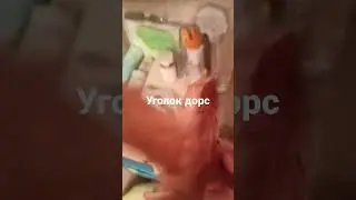 уголок дорс чеееееееек!!!