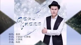 暴林   风在伤心我在流泪   MTV