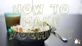 Homemade Yoghurt with Cow, Goat, Sheep or Soy Milk