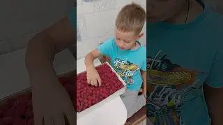 Медвежонок #семья #семейный #влог