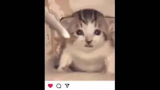 sensitive content