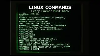 Linux Commands for Beginners Your First Steps in the Terminal