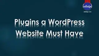 10 Plugins a WordPress Website Must Have