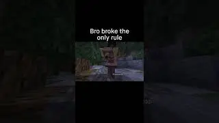 Minecraft Meme