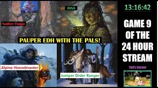 Pauper EDH with the Pals - Dina vs Alpine Houndmaster vs Nadier/Toggo vs Juniper Order Ranger
