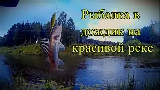 Рыбалка в дождик на красивой реке | Ищем активного хищника | Перспективные места для ловли голавля