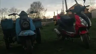 Муравей ожил! Дело в зажигании