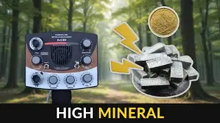 Gold detected in high mineral conditions - Nexus Standard MP metal detector demonstration.