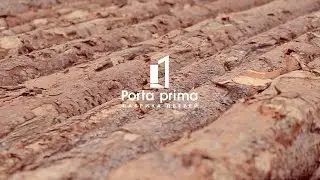 Производство межкомнатных дверей Porta prima