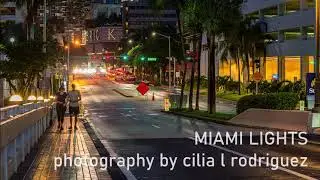 MIAMI LIGHTS