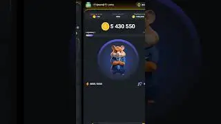 Новое Комбо в Hamster Kombat 🐹