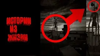 СИРЕНОГОЛОВЫЙ В ЛЕСУ// ИСТОРИЯ ИЗ ЖИЗНИ