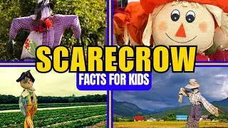 Did You Know These Scarecrow Facts? (For Kids)