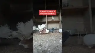 22 августа 2023 г.