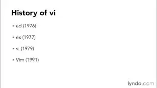 03 1  What is vi