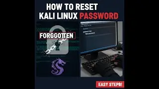 How to Reset a Forgotten Kali Linux Password
