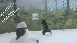 Коротко о погоде в Казахстане!