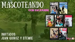 Invitación Entrevista a Juan Quiroz y Stewie en Mascoteando
