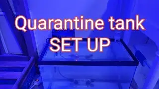 Simple Quarantine tank set up. Nano reef build