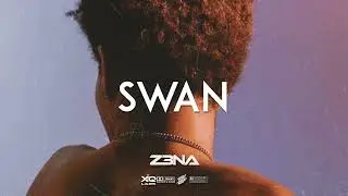 Afrobeat Instrumental 2024 Burna Boy Ft Rema Type Beat "SWAN" Afrobeat Type Beat