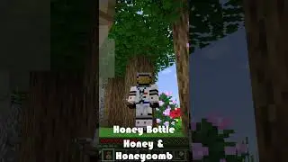 How to Get Honey and Honeycomb in Minecraft 1.21