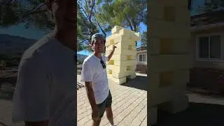 Director vs Art Team