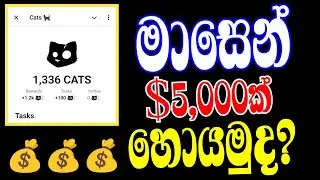 Cats Telegram Airdrop Sinhala 2024 |Big Profit For All Users | Legit Airdrop Sinhala