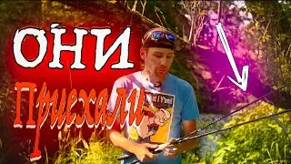 ОБЗОР НОВЫХ СПИННИНГОВ! ЛЕТО 2024! ИДЕАЛЬНЫЙ TRAVEL СПИННИНГ ДЛЯ ПУТЕШЕСТВИЙ! + АНОНС КОНКУРСА!