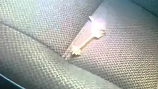 Ключи