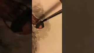 Jellyfish art