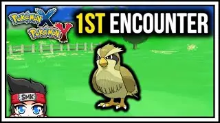 1st Encounter Shiny Pidgey