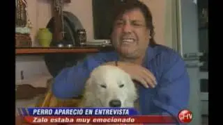 Zalo Reyes y su perro