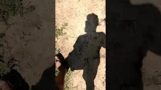 MINHA SOMBRA  MIM PERSEGUINDO