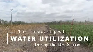The Impact of a Drop of Water During Drought: Transforming Our Farm #farming #drought #irrigation