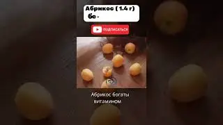 фрукты с высоким содержанием белка