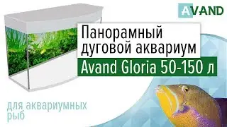 Панорамный аквариум Avand Gloria 50-150 литров.