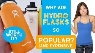 Why are Hydro Flasks so Popular and Expensive? (And are They Still Worth It?)