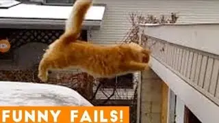 Funny Fails