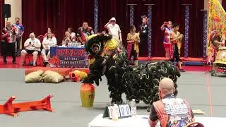 USDLDF 2nd Lion Dance Competition 2019 - Jing Mo Tong Athletic Association Team A
