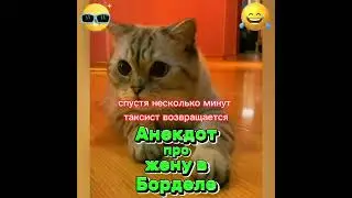 Анекдот про жену в борделе. 