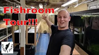 Dan's Fish Room Tour...It's a BIG One!!!!!