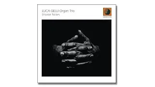 LUCA GELLI Organ Trio - Shorter Notes (extract) - 2024 Dodicilune