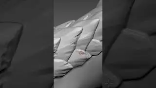 The Making of Vorkath  🐉