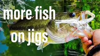All you need to know about jigs!!!
