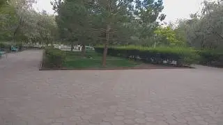 Вся наша боль, моя лишь боль