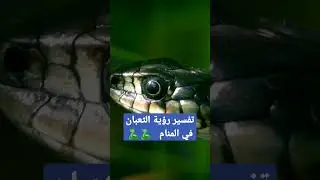 مخيف جدا 😳