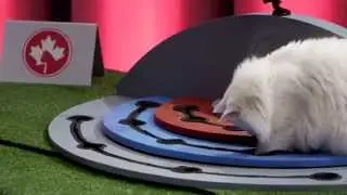 Battle Cats | Ep. 5 | Pt. 2