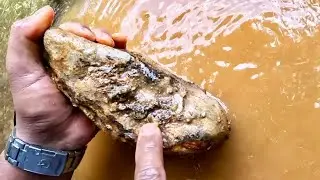 SHOCKED THE WORLD..,! AMAZING GOLD PROSPECTING, GOLD RUSH, GOLD DISCOVERY, TRADITIONAL GOLD PANNING