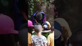 Experiencias pedagógicas en medio de la naturaleza